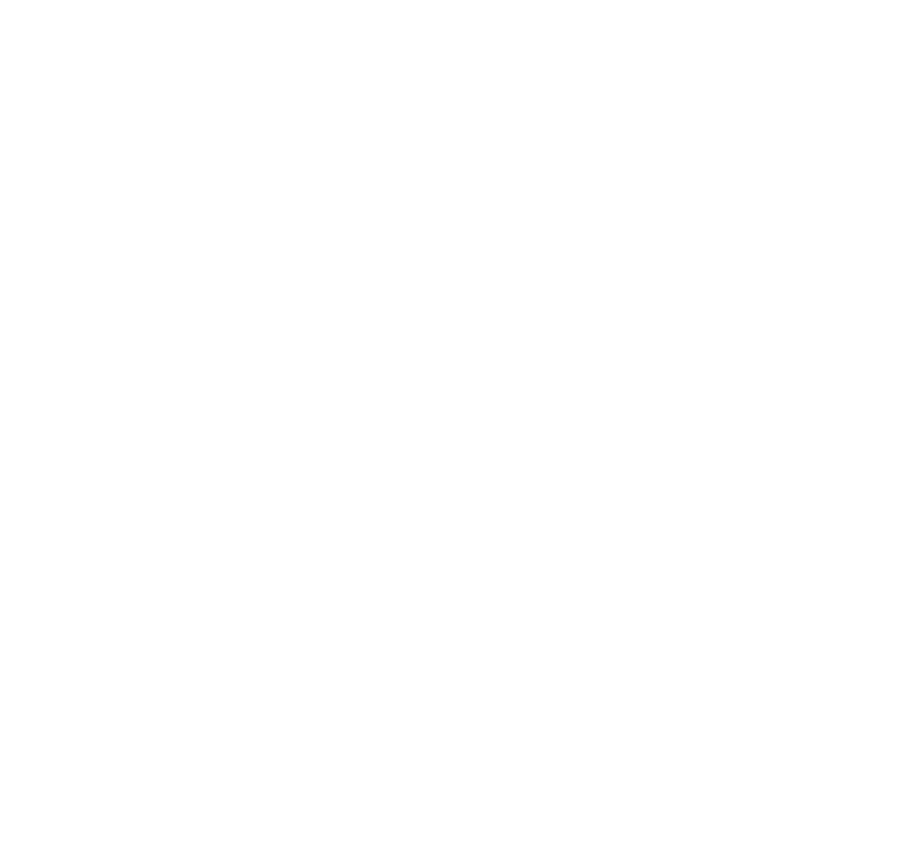 Asset