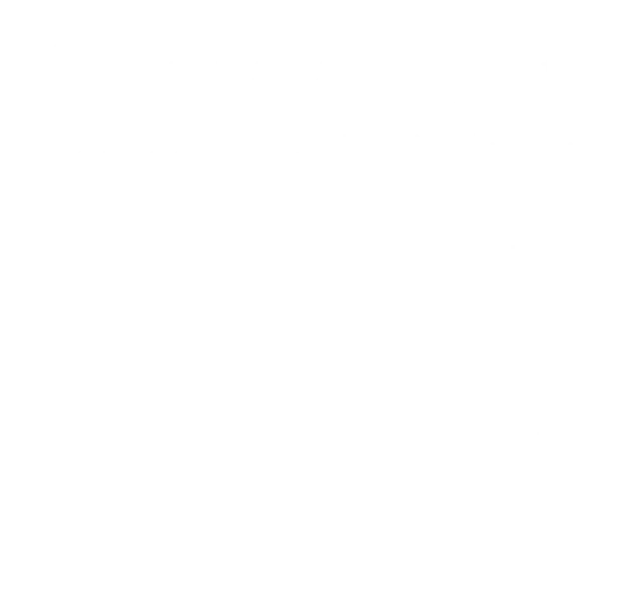 Asset